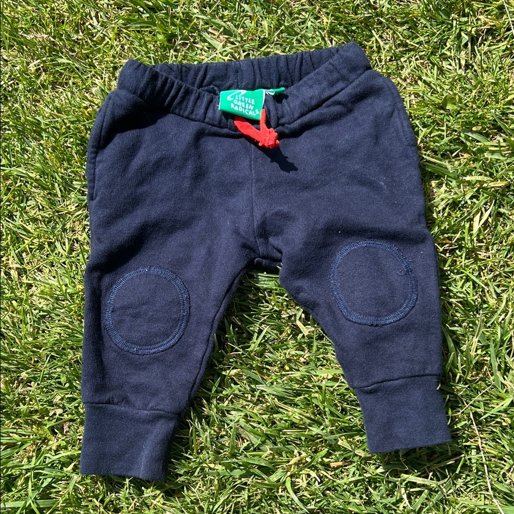 Little green radicals Navy Joggers with Patch Detail